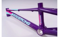 CADRE STAY STRONG FOR LIFE V3 - PURPLE / TEAL / PINK